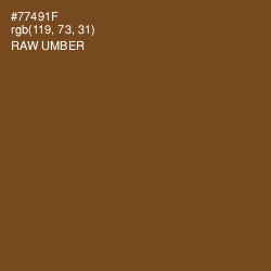 #77491F - Raw Umber Color Image
